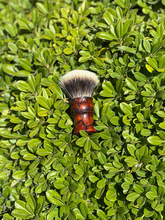African Padauk V4
