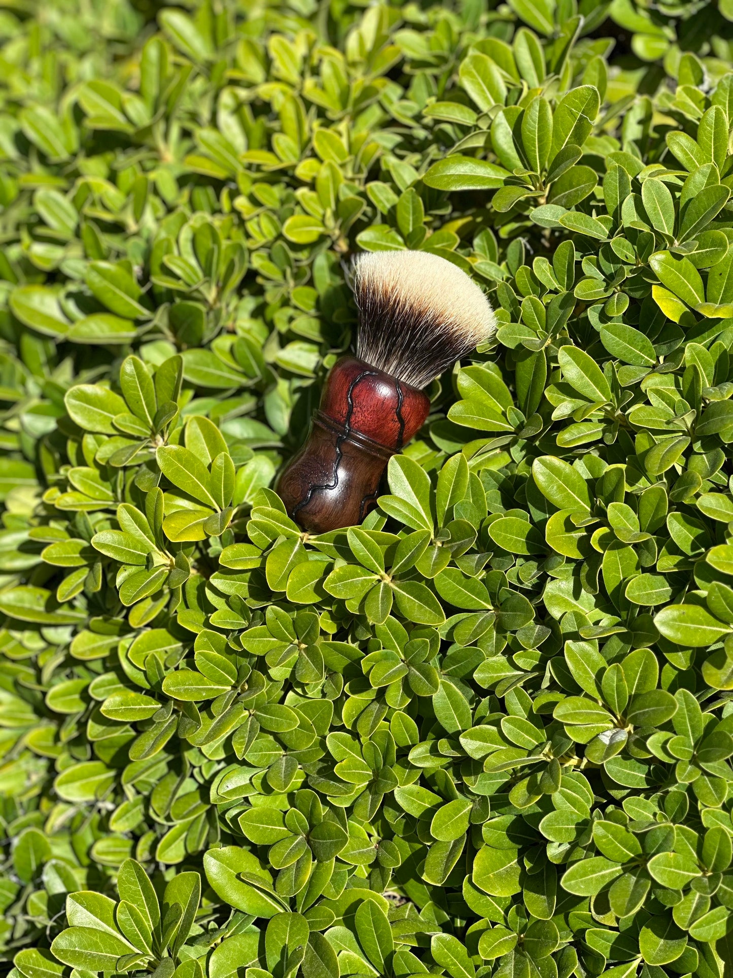 Bloodwood/Mexican Royal Ebony V4