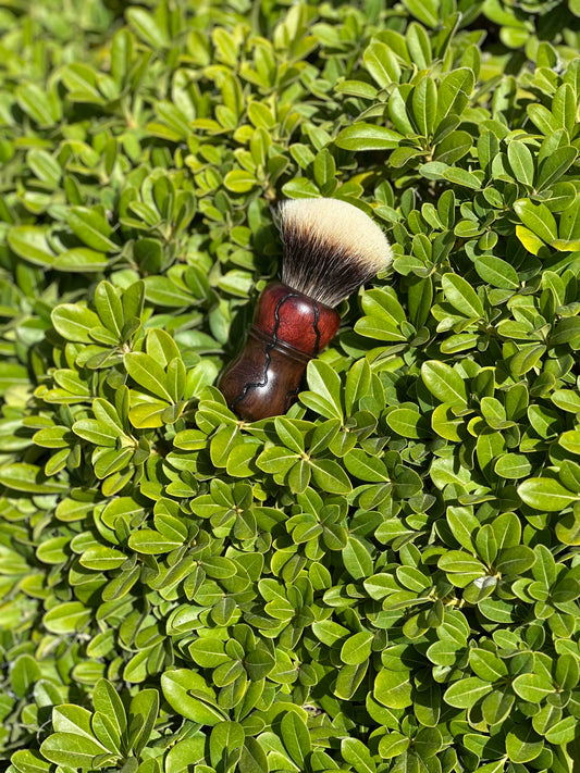 Bloodwood/Mexican Royal Ebony V4