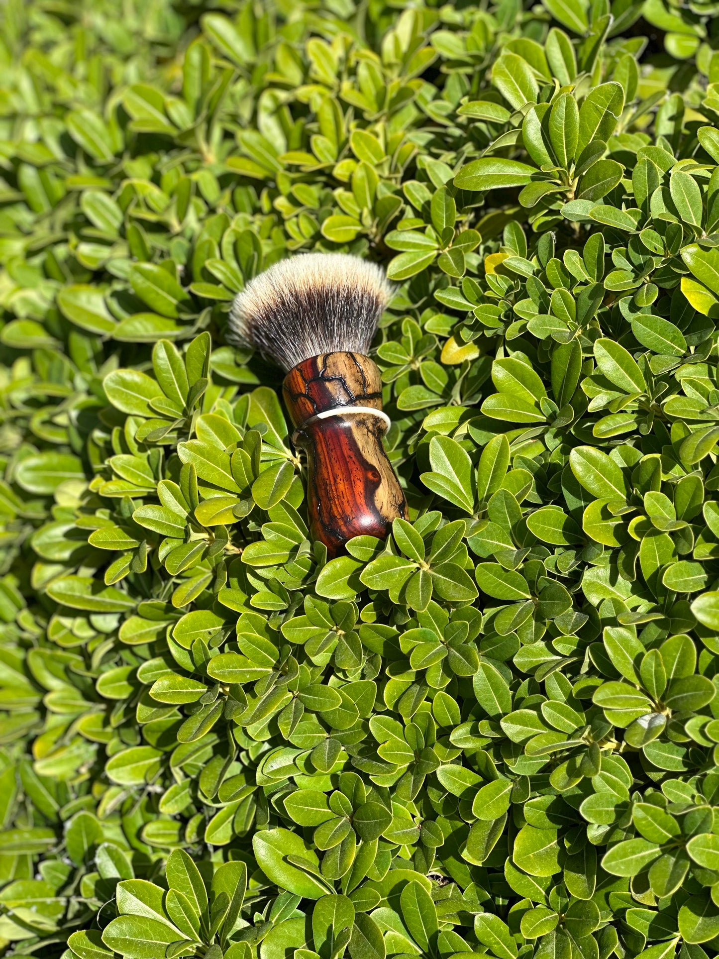 Cocobolo/Stabilized Maple Burl & Resin V4