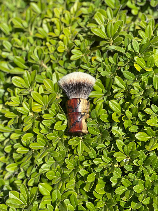 Cocobolo V4