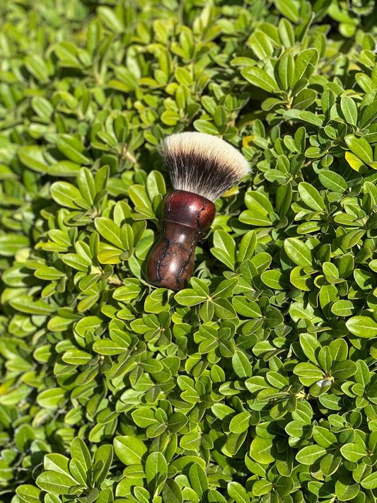 Bloodwood/Walnut V4