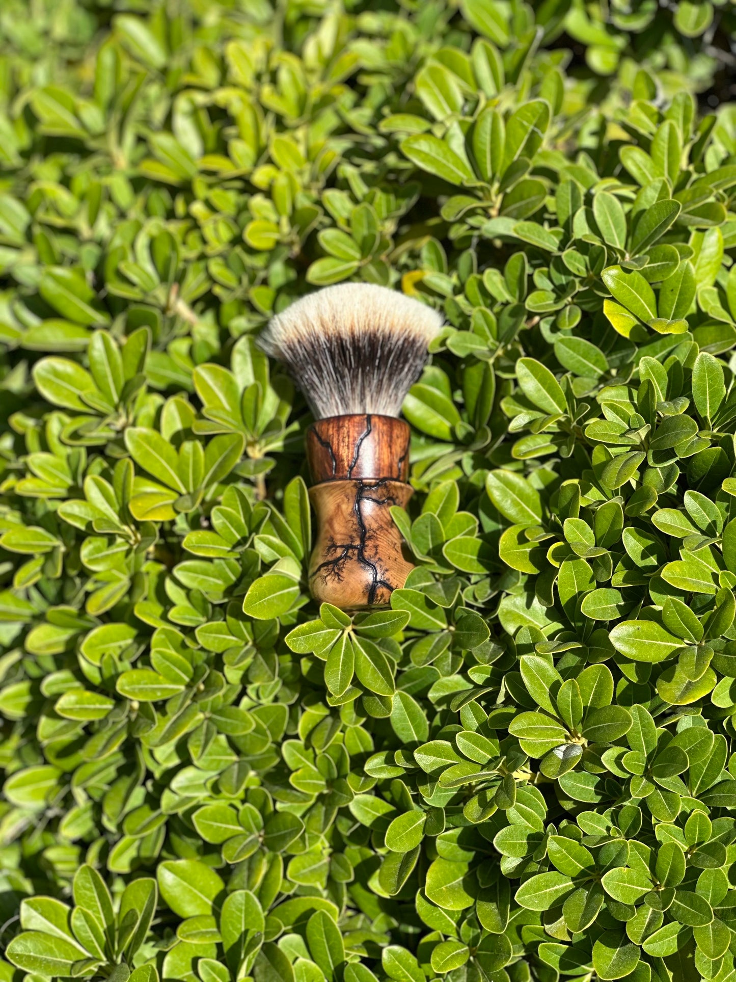 Chechen/Port Orford Cedar V4